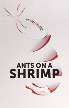 Ants on a Shrimp