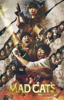 Mad Cats