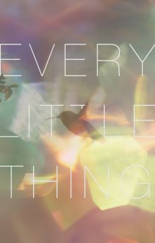 Every Little Thing