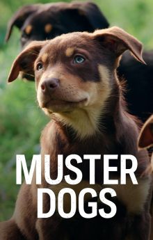 Muster Dogs - Season 3