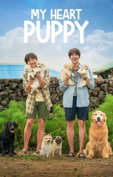 My Heart Puppy