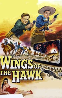 Wings of the Hawk