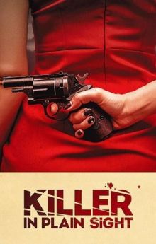 Killer in Plain Sight - Season 2