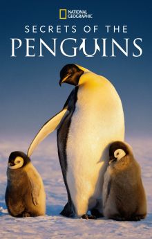 Secrets of the Penguins - Season 1