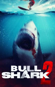 Bull Shark 2