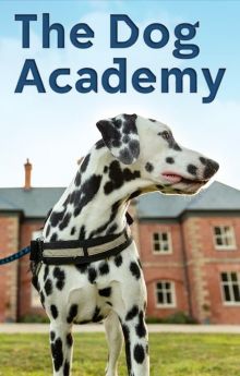 Bad Dog Academy - Season 2