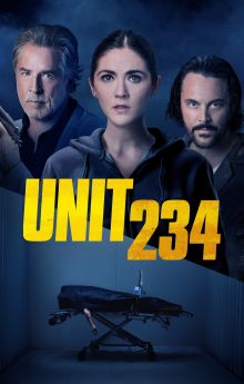 Unit 234