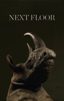 Next Floor