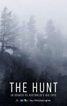 The Hunt: In Search of Australia's Big Cats