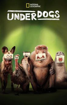 Underdogs - Season 1