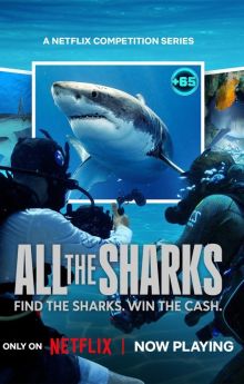 All the Sharks - Season 1