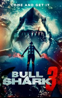 Bull Shark 3
