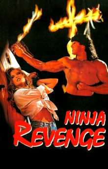 Ninja Vengeance