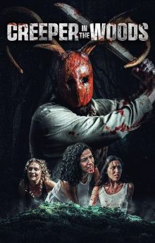 Creeper in the Woods