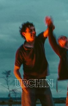 Urchin