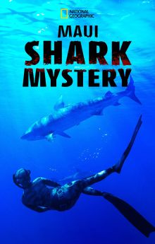 Maui Shark Mystery